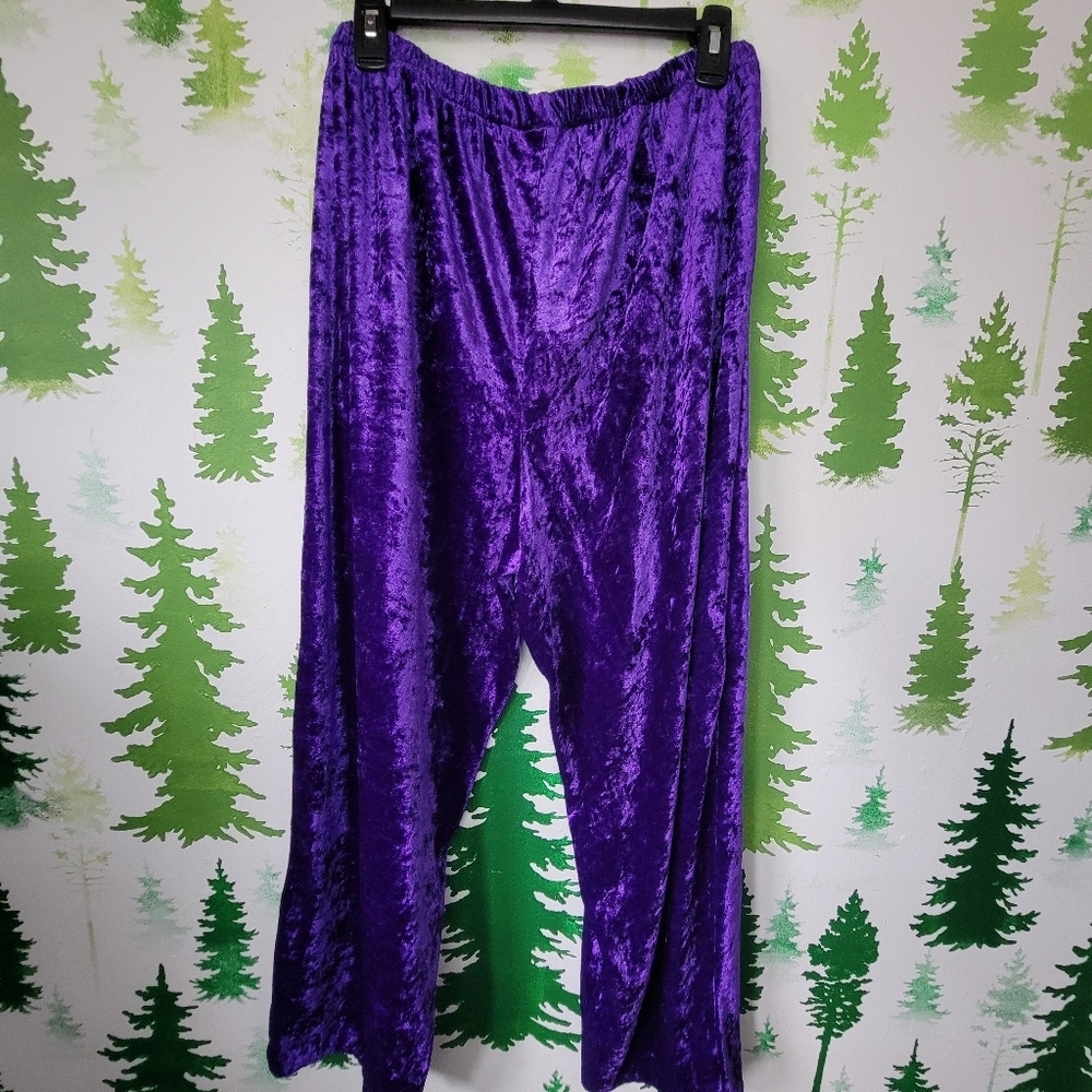 Vibrant Purple Casual Velvet Pants.
